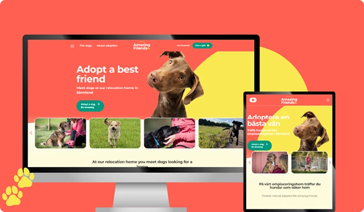 case study thumbnail