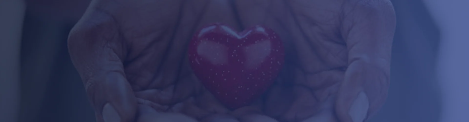Banner Background