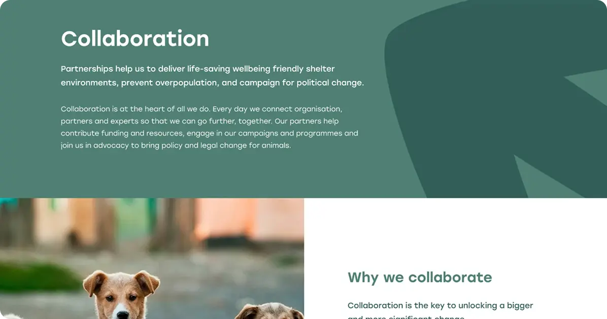 case study image