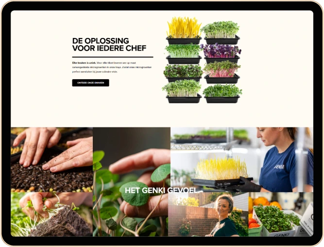 case study image
