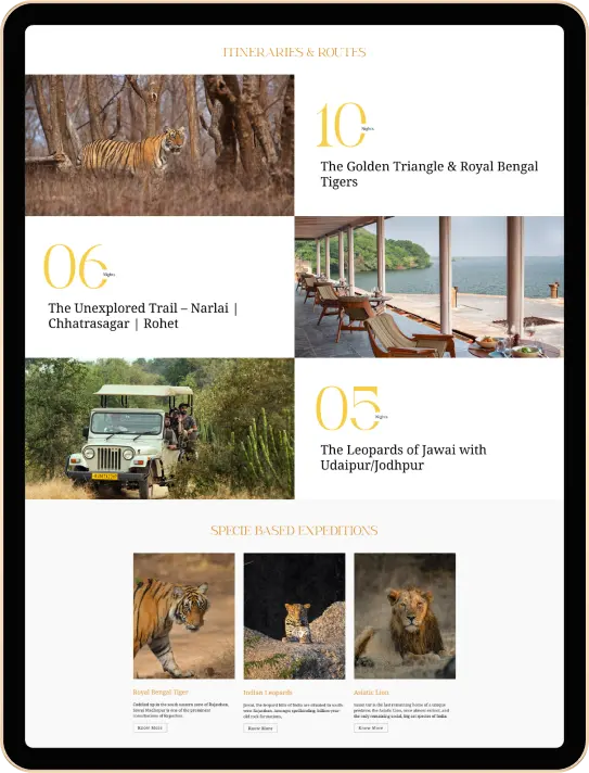 Safari Crafters