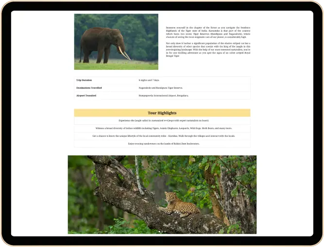 Safari Crafters