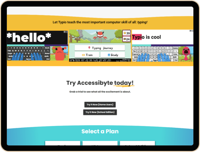 Accessibyte