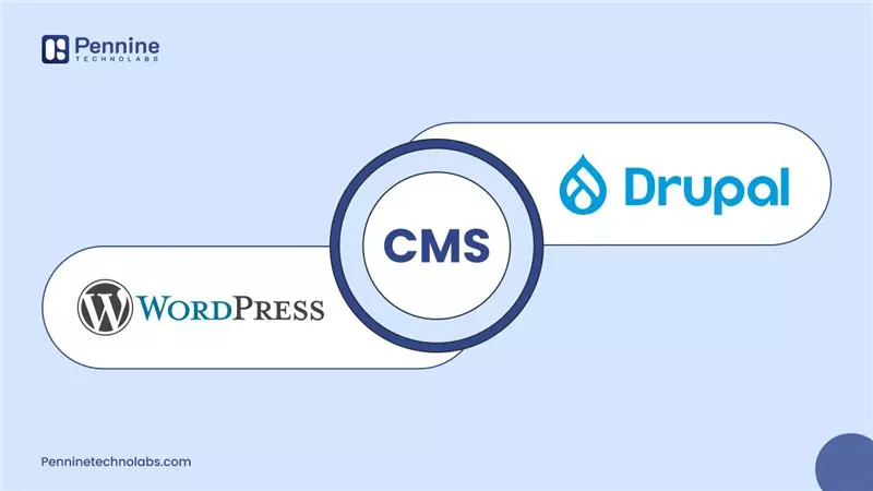 WordPress vs Drupal CMS