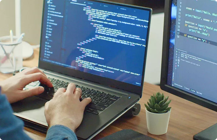 Wordpress development company USA